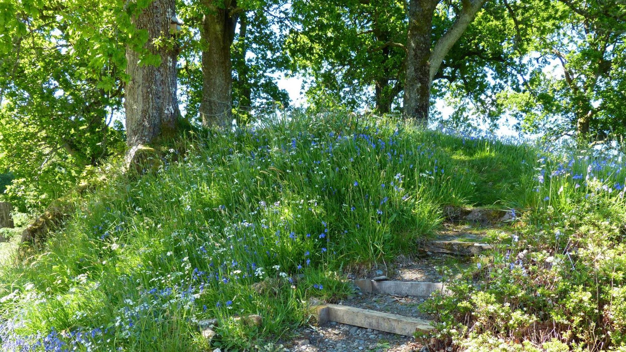 Blarghour Farm Cottages Ardchonnell Exteriör bild